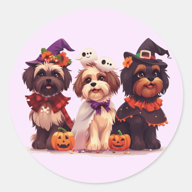 Sticker Rond Chih Tzu Chih Halloween (Devant)
