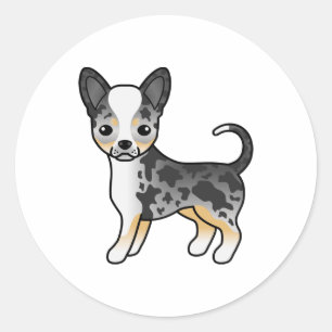 Sticker Rond Chihuahua à poil lisse bleu merle Chien de dessin 
