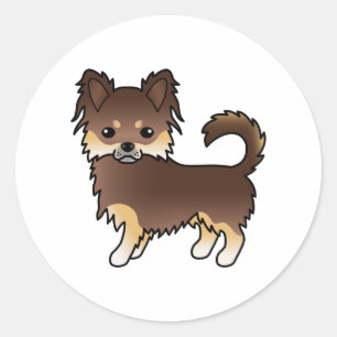 Sticker Rond Chihuahua au manteau long chocolat et fauve Chien 