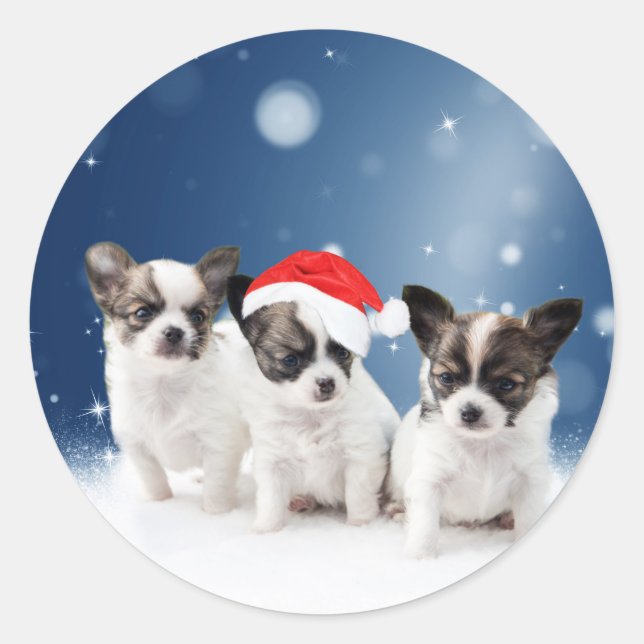 Sticker Rond Chihuahua Chiuppies mignonnes avec Noël du Père No (Devant)