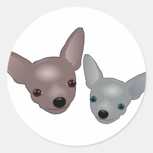 Sticker Rond Chihuahuas
