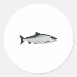 Sticker Rond Chinook - King Saumon
