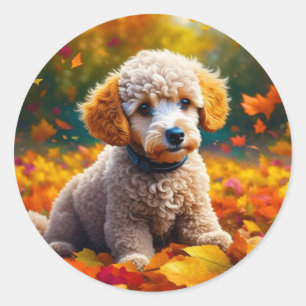 Sticker Rond Chiot de canicule d'abricot dans les feuilles d'au