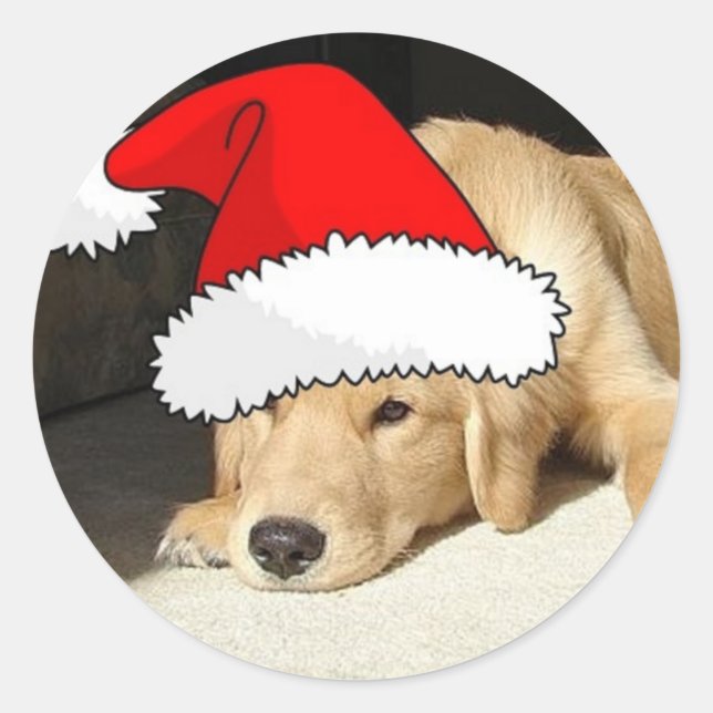 Sticker Rond Chiot de Noël Golden Retriever (Devant)