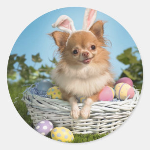 Sticker Rond Chiot de panier de Pâques