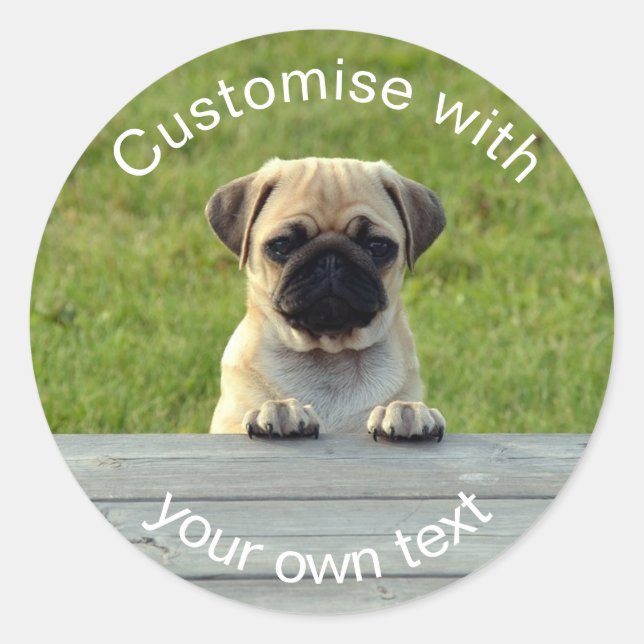 Sticker Rond Chiot fait sur commande de carlin (Devant)