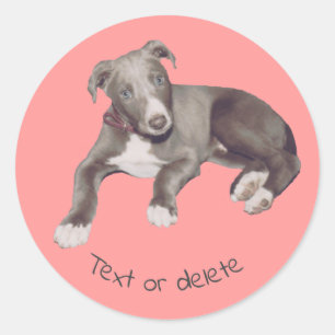 Sticker Rond Chiot gris bleu Personnalisé