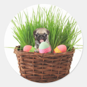 Sticker Rond Chiot heureux de carlin de Pâques