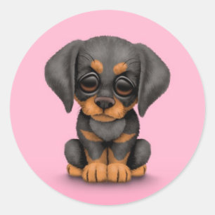 Sticker Rond Chiot mignon de Pinscher de dobermann sur le rose