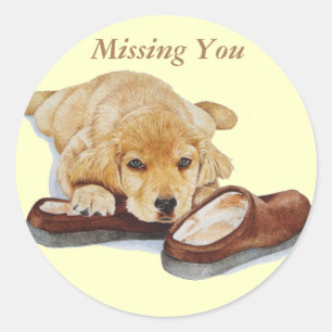Sticker Rond chiot mignon golden récupérateur chien peluches