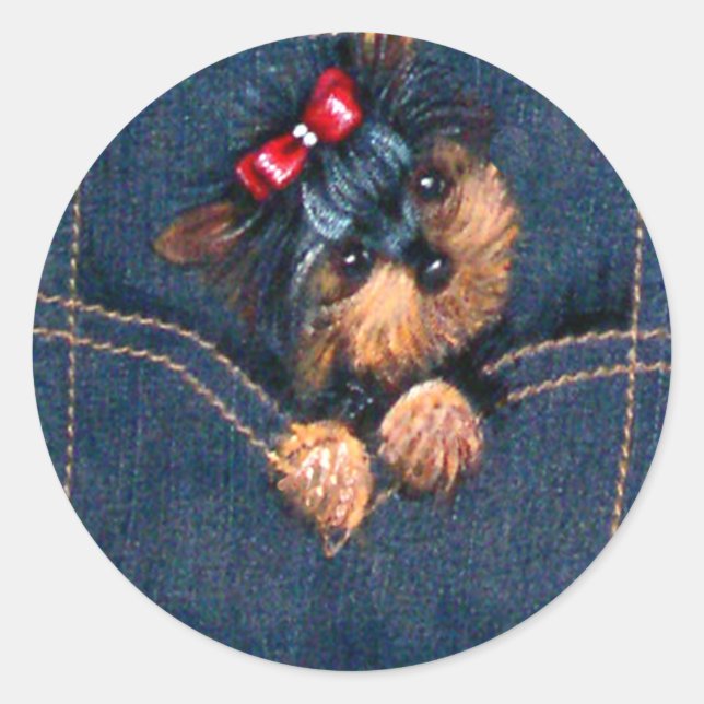 Sticker Rond Chiot Yorkie dans la poche (Devant)