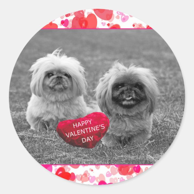 Sticker Rond Chiots Pekingese souhaitant Heureuse Sainte-Valent (Devant)