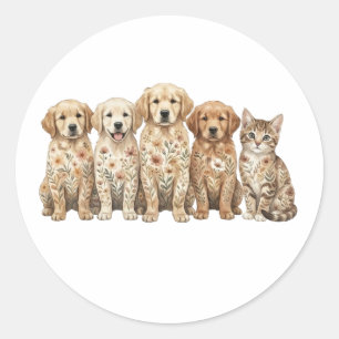 Sticker Rond Chiots Retriever Golden Mignons & Chatons