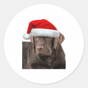 Sticker Rond Chocolat Lab Chemise Labrador Retriever Chien Chri