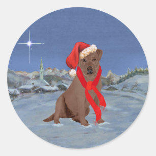Sticker Rond Chocolate Labrador