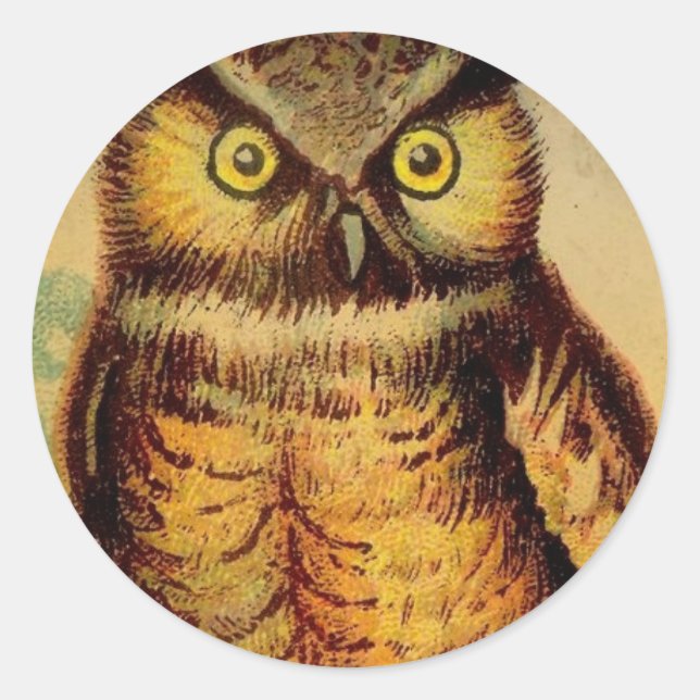 Sticker Rond Chouette (Devant)