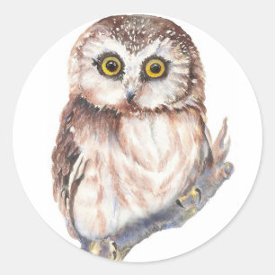 Sticker Rond Chouette mignonne, Aquarelle Nature des oiseaux,