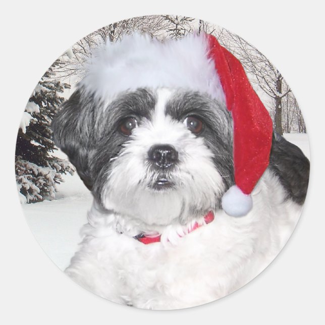 Sticker Rond Christmas Shih Tzu (Devant)