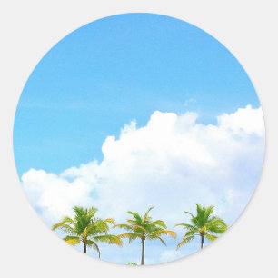Sticker Rond Ciel Bleu Palms Et Modèle Noir