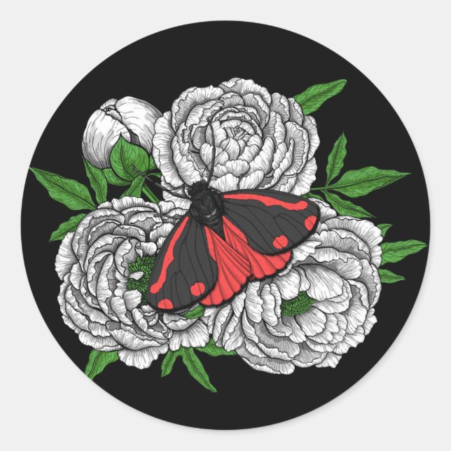 Sticker Rond Cinnabar moth (Devant)