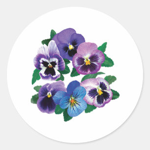 Sticker Rond Circle Purple Pansies