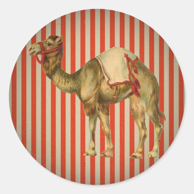 STICKER ROND CIRCUS CAMEL VINTAGE (Devant)