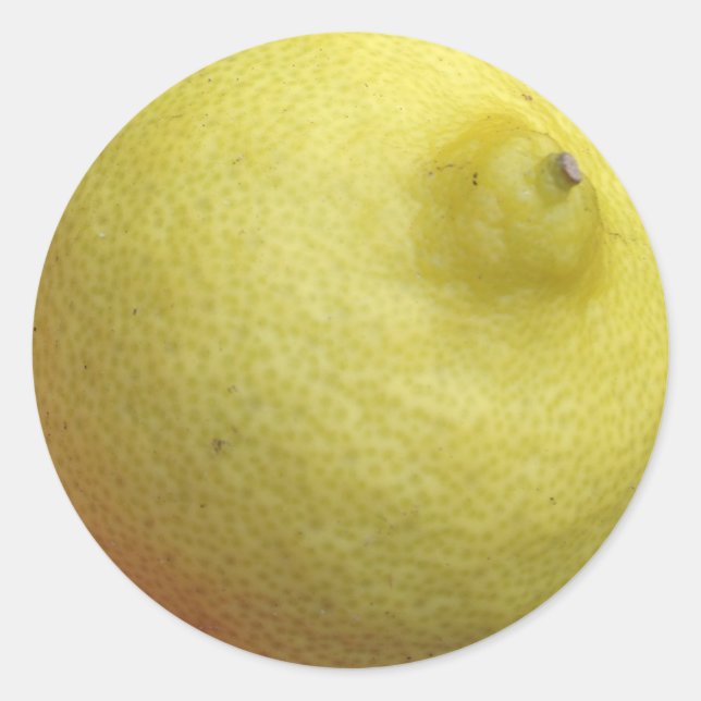 Sticker Rond Citron de Meyer (Devant)