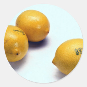 Sticker Rond Citrons