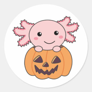 Sticker Rond Citrouille Axolotl Amateurs De Beaux Animaux Pour