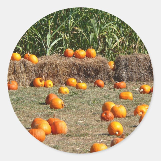 Sticker Rond Citrouille, Corn et Hay Automne de la récolte Phot (Devant)