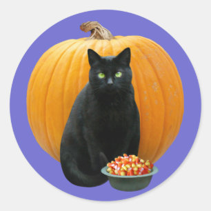 Sticker Rond Citrouille de chat noir