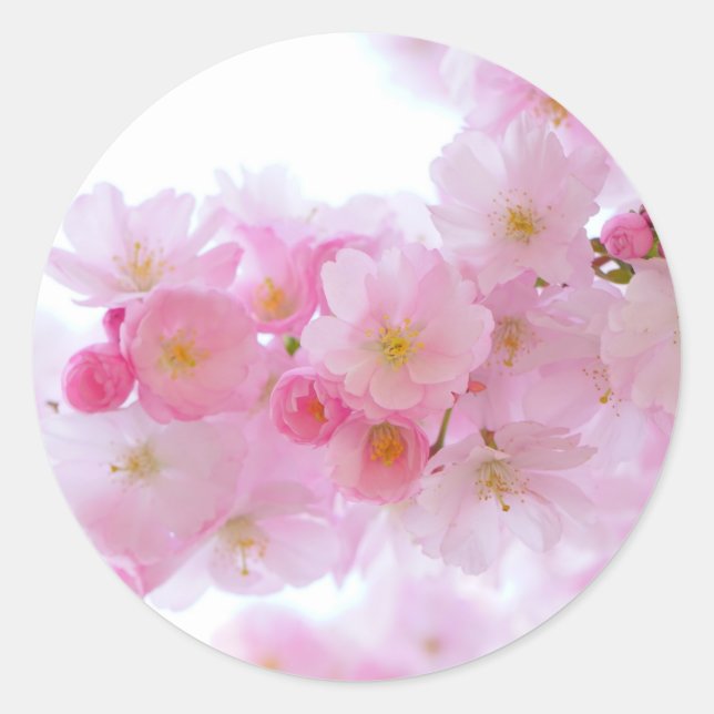 Sticker rond classique (Devant)