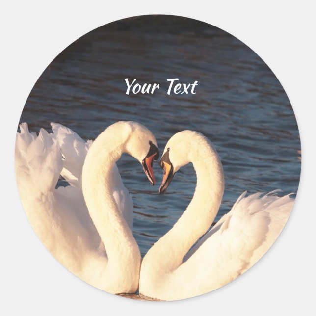 Sticker rond classique aux cygnes blancs (Devant)