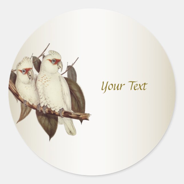 Sticker rond classique aux oiseaux blancs (Devant)