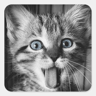 Sticker rond classique Cute Kitten secourt