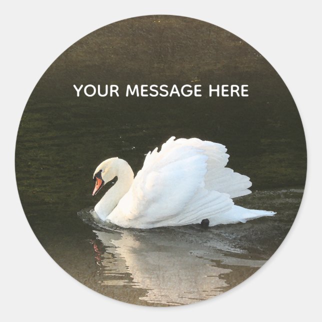 Sticker rond classique cygne (Devant)