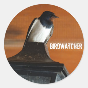 Sticker rond classique photo d'hirondelle Birdwatc