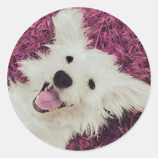 Sticker rond classique pour chien de secourt