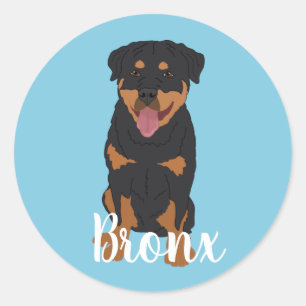 Sticker rond classique Rottweiler