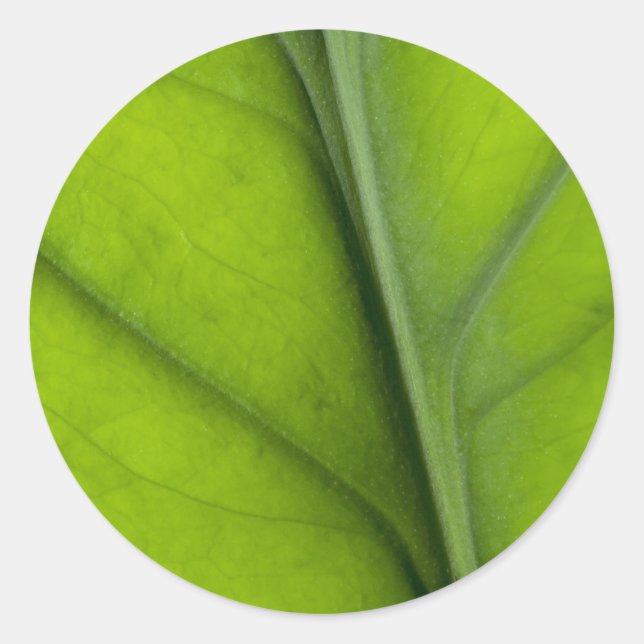 Sticker Rond Closeuse feuille (Devant)