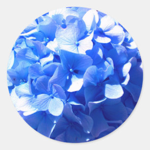Sticker Rond Cobalt bleu floral élégant bleu hydrangées
