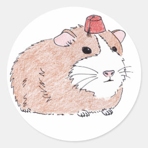 Sticker Rond cobaye