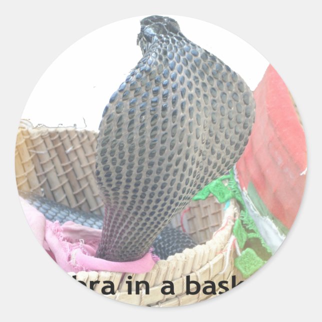 Sticker Rond Cobra dans le panier Imprimer (Devant)