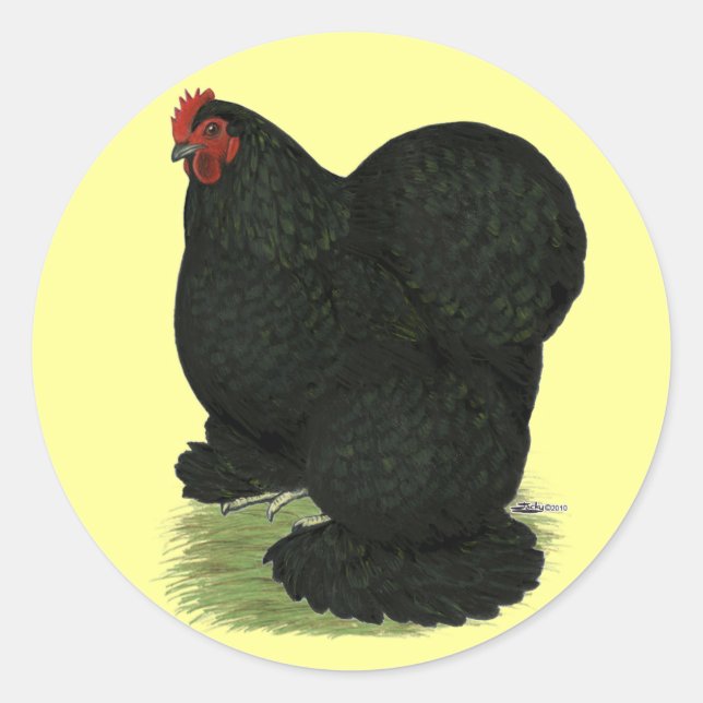 Sticker Rond Cochin : Hen noir (Devant)