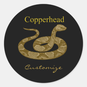 Sticker Rond Cochon couleuvres cuivrées Thunder_Cove
