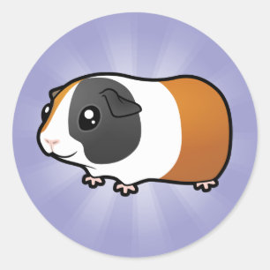 Sticker Rond Cochon de Guinée (cheveux lisses)