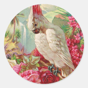 Sticker Rond Cockatoo et art Vintage Rose