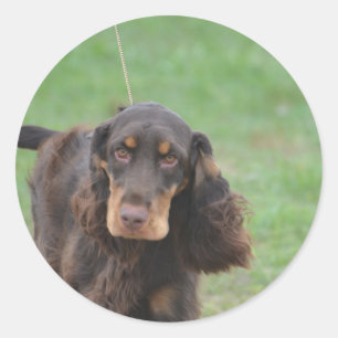Sticker Rond Cocker adorable