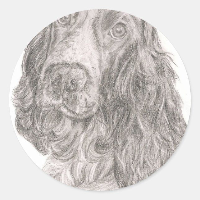 Sticker Rond Cocker Spaniel (Devant)