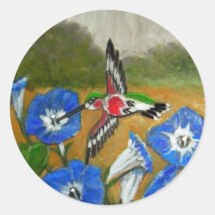 Sticker Rond Colibri